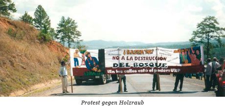 Proteste gegen Holzraub